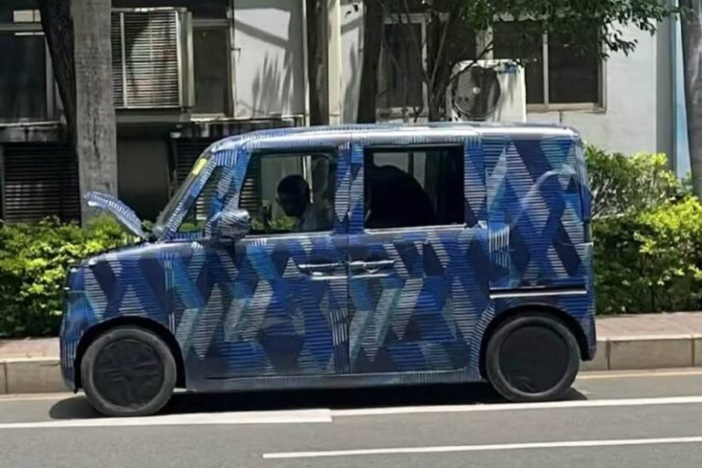 枞阳县两赛长河等自然资源确权项目顺利通过验收