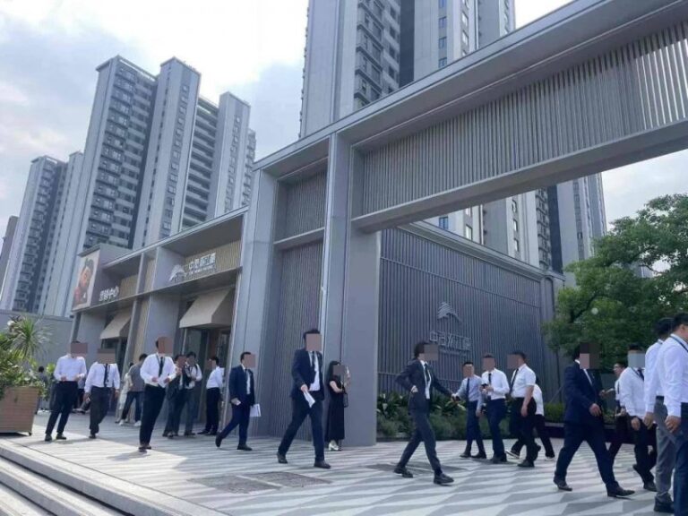 2019年阳阳国际酒庄贺牌西拉：三代人的紫色梦想