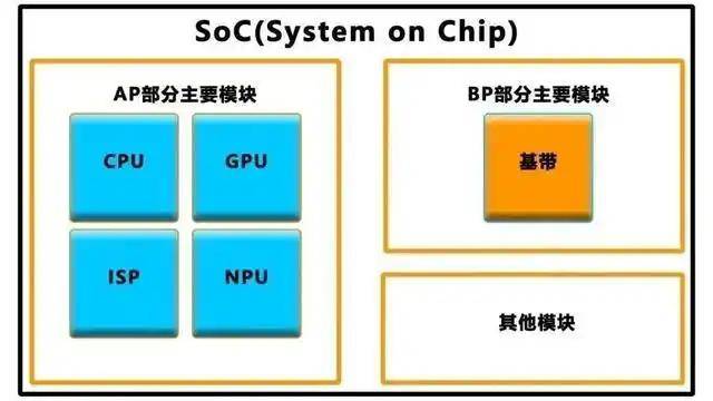 “老藤项目”：体现老藤葡萄酒的价值