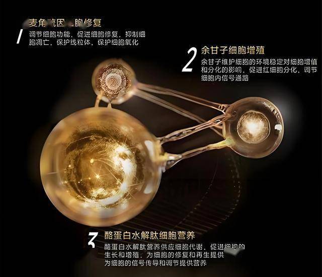 今年中欧班列量质齐升