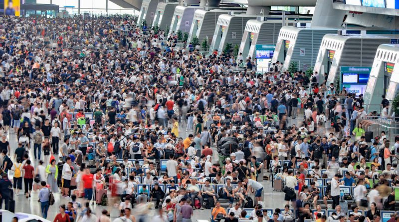 2018嘉地风信子干红：热烈奔放，魅力十足