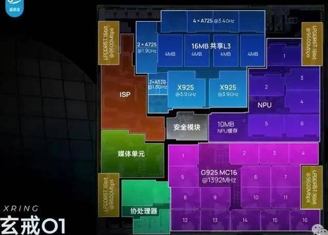 寻找最具海岸特色的葡萄酒